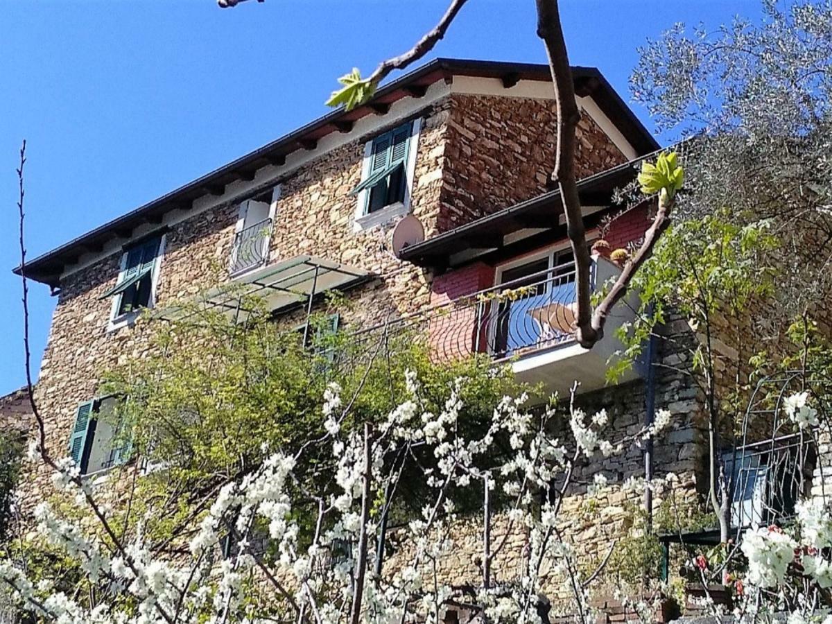 Holiday Home Mes Mas By Interhome Stellanello Екстериор снимка